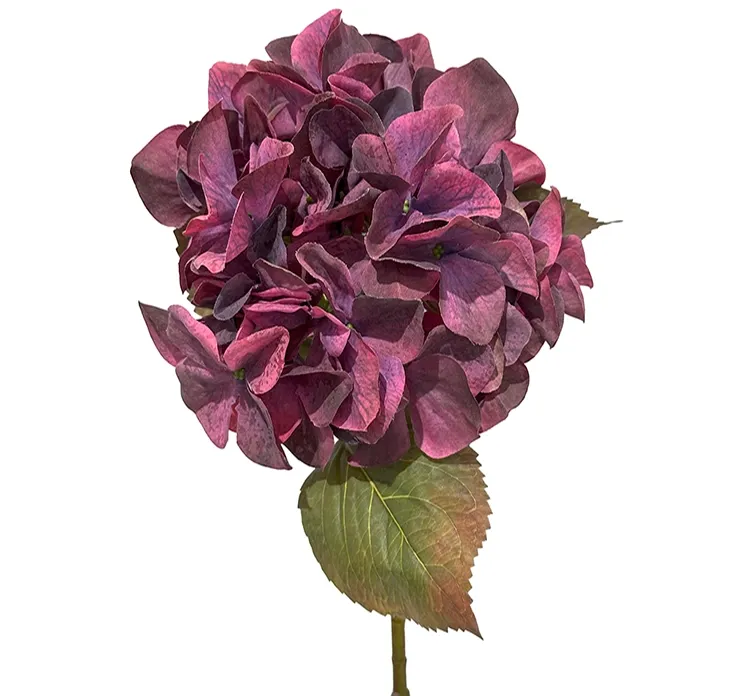 kunstig bordeaux hortensia i plast closeup