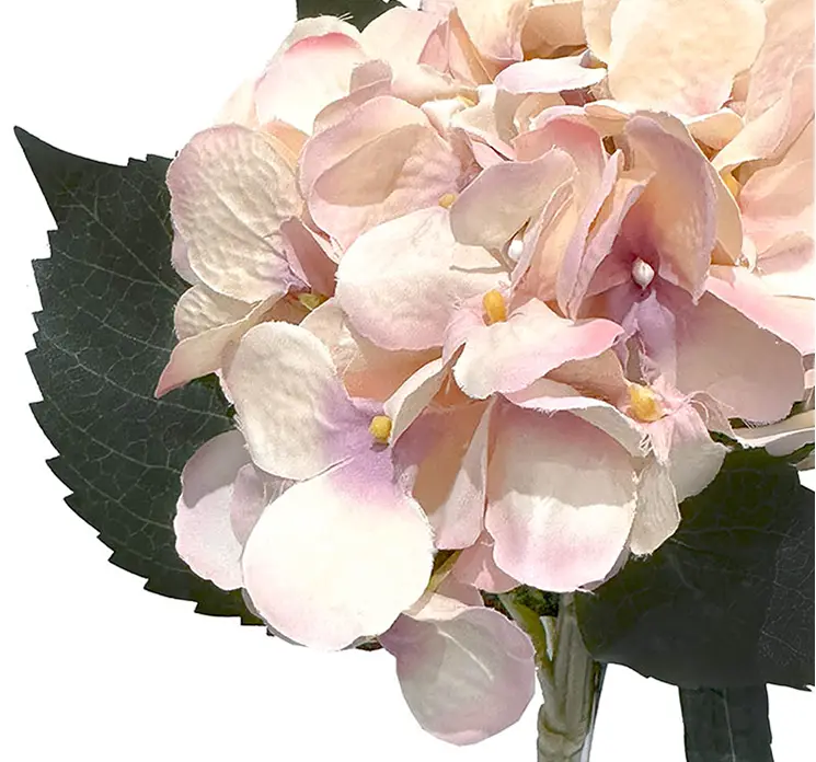 Hortensia kunstig blomst af plast i fersken farvet closeup