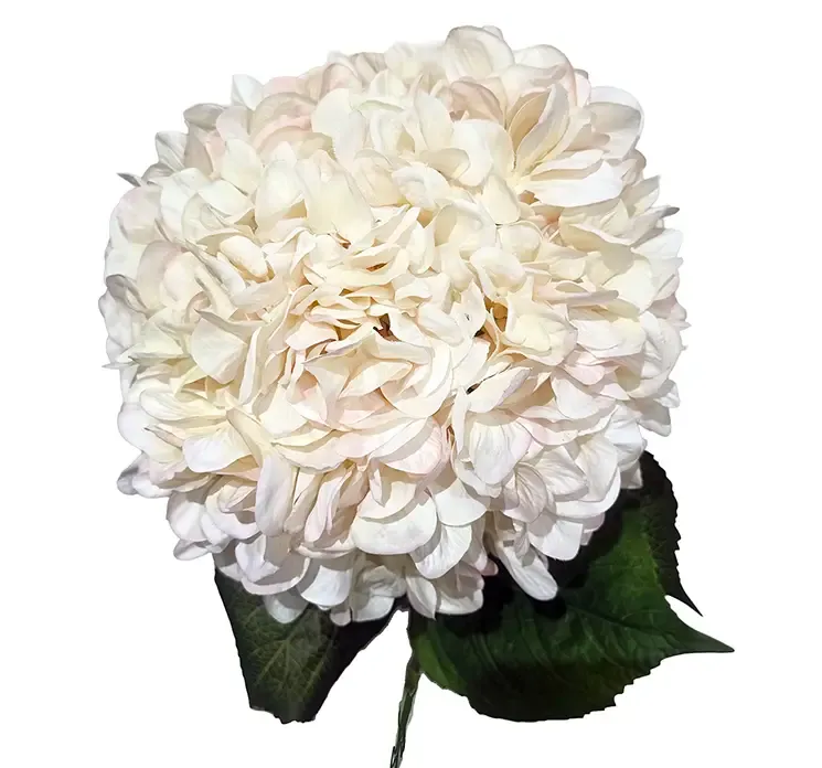 Kunstig hortensia i hvid af plast xl closeup