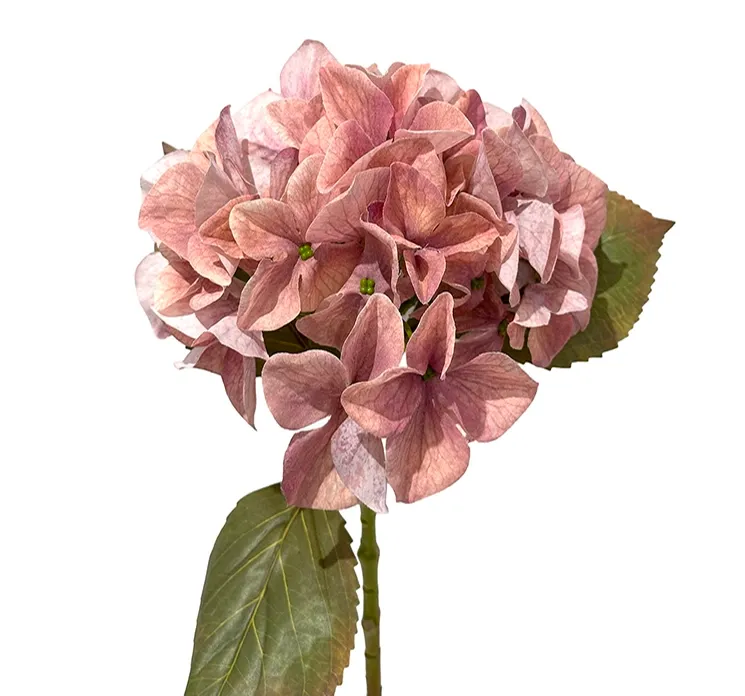 Kunstig rosa hortensia i plast closeup