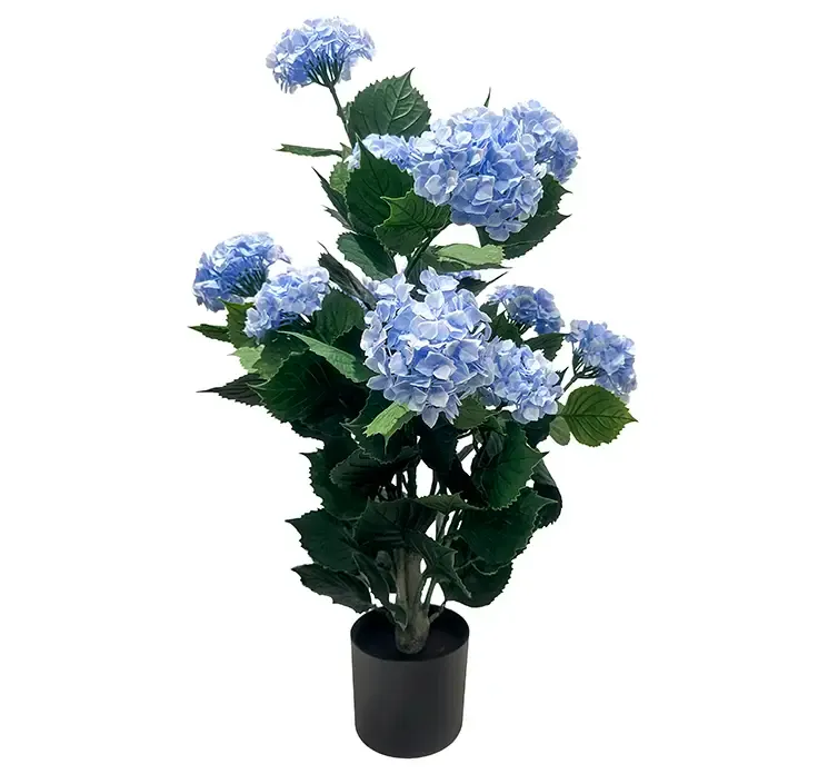 Kunstig hortensia med blå blomster i sort potte uv beskyttet af plast