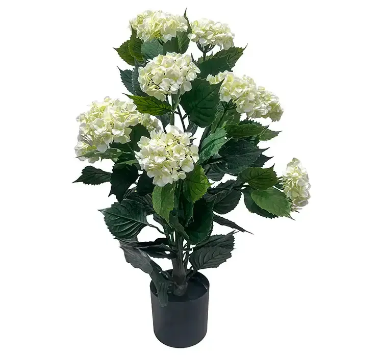 Kunstig hortensia med hvide blomster i sort potte uv beskyttet af plast