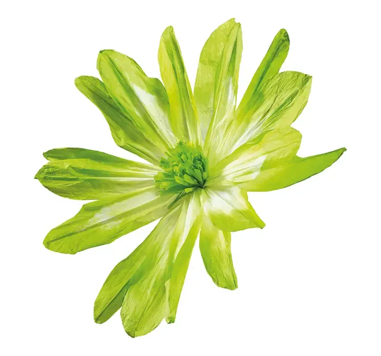 Kunstig blomsterhoved i grøn og hvid af papir