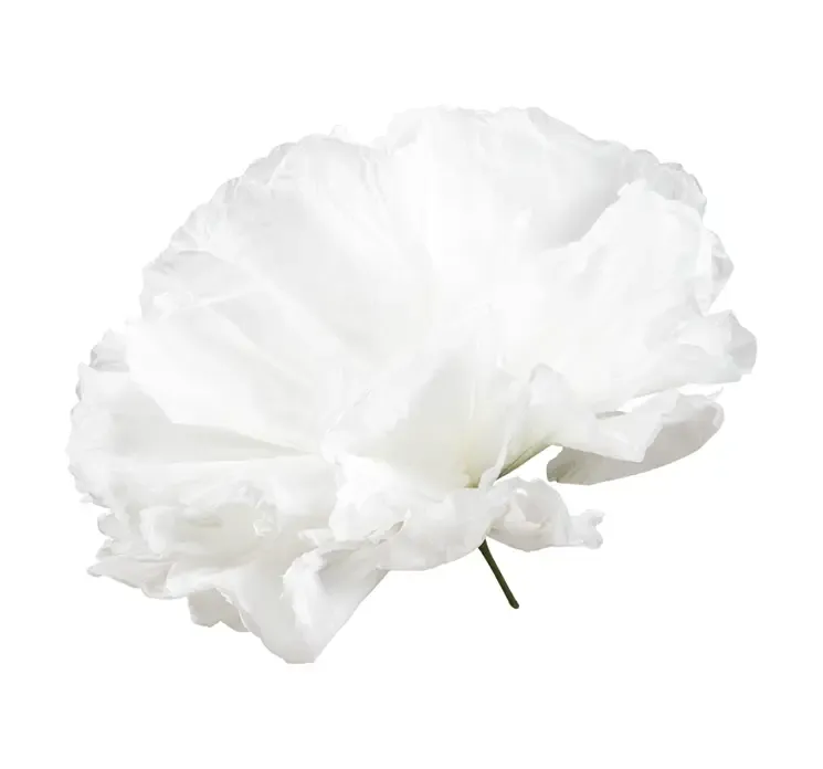 Kunstig blomsterhoved af papir i hvid