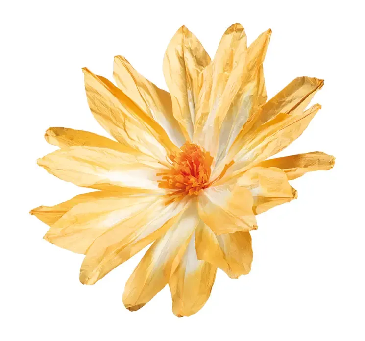 Kunstig blomsterhoved af papir i orange og hvid