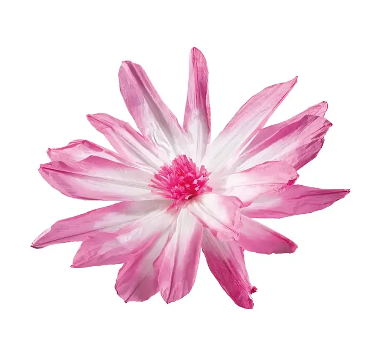 Kunstig blomsterhoved i pink og hvid af papir