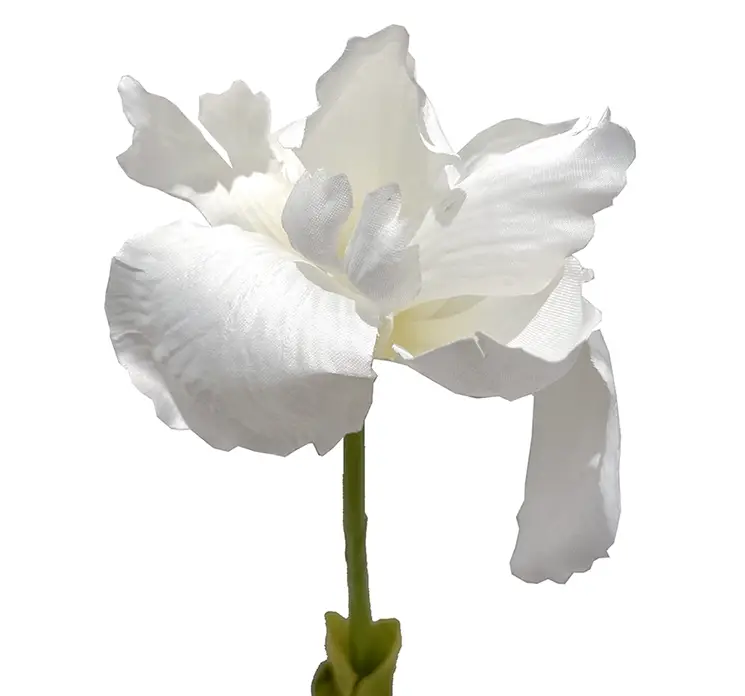 Iris kunstig blomst af plast i hvid closeup