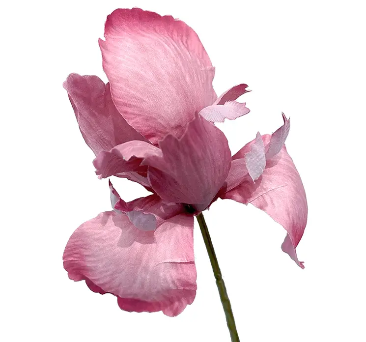 Iris kunstig blomst af plast i rosa closeup