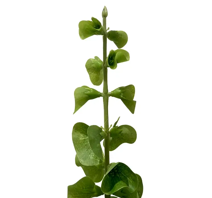 Kunstig irlandsklokke også kladet molucella i grøn af plast closeup