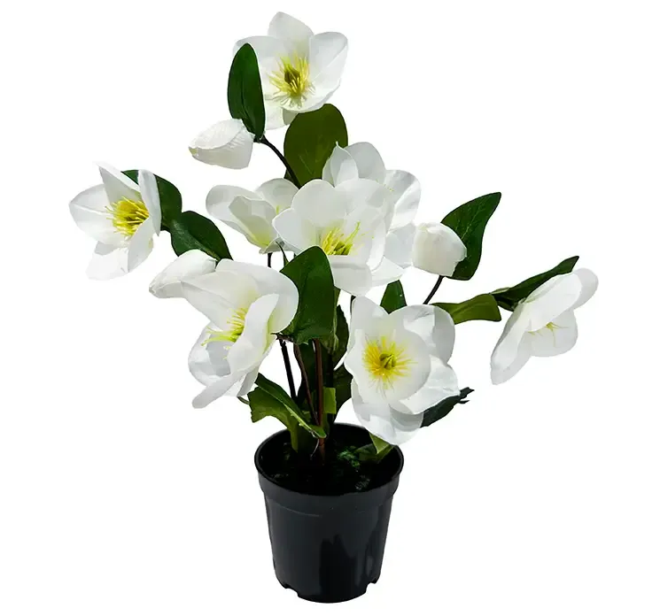 kunstig julerose, helleborus hvid i sort potte