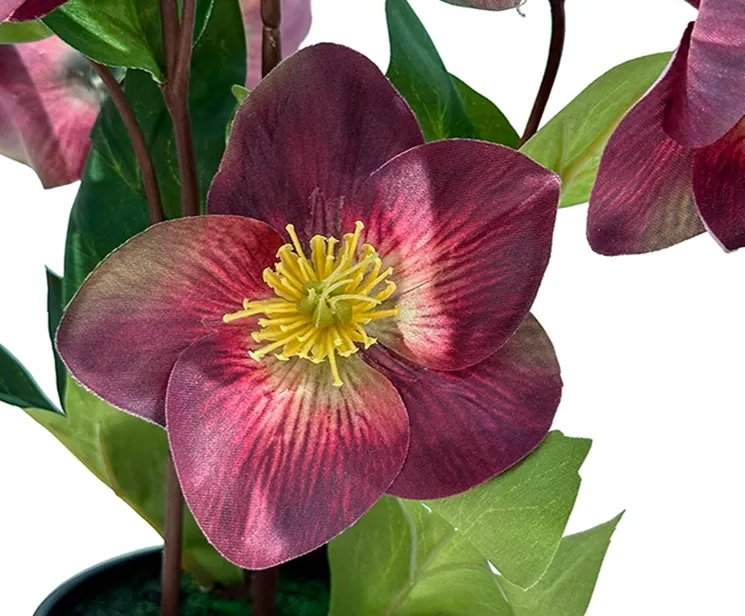 kunstig bordeaux julerose, helleborus i sort potte-closeup
