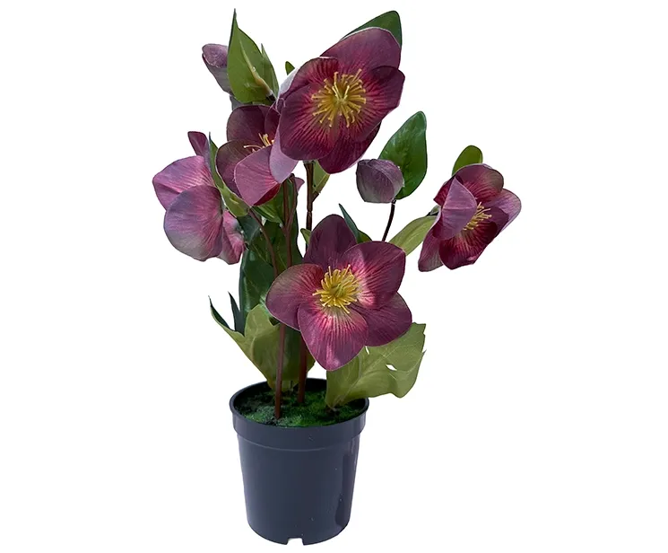 kunstig bordeaux julerose, helleborus i sort potte