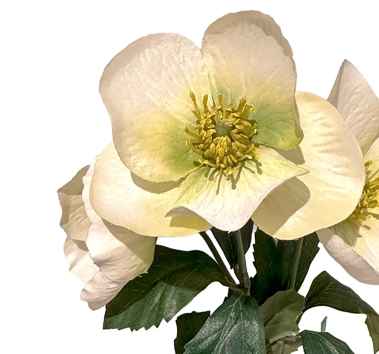 kunstig hvid julerose i plast med tre blomster closeup