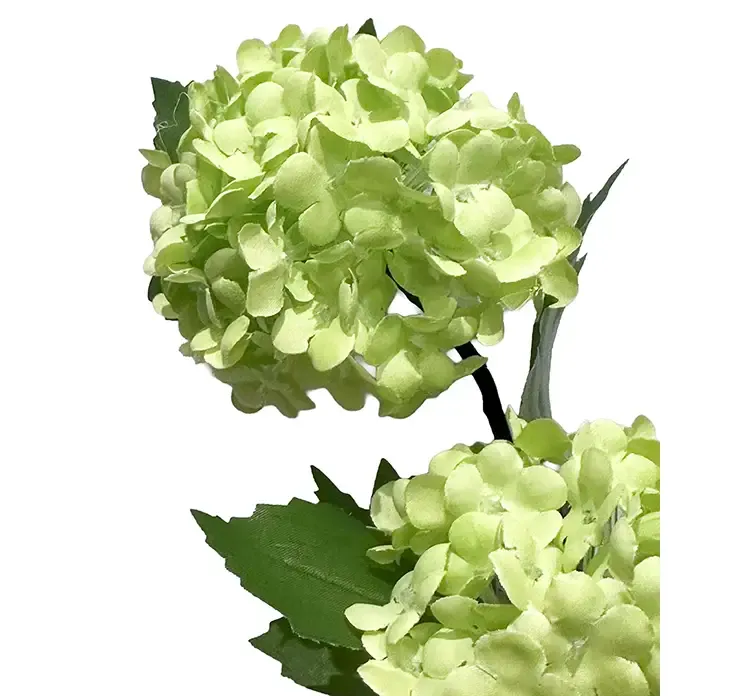 Kunstig kalkved blomst også kaldet viburnum af plast i grøn, closeup af blomsterhoveder