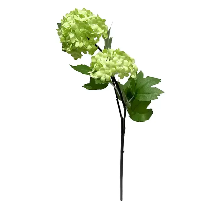 Kunstig kalkved blomst også kaldet viburnum af plast i grøn