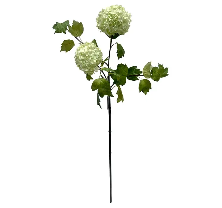 Kunstig kalkved blomst også kaldet viburnum af plast i grøn