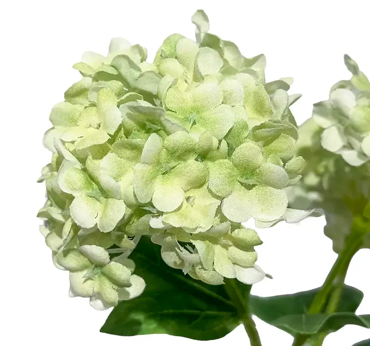 Kunstig kalkaved også kaldet virburnum blomst i grøn af plast closeup