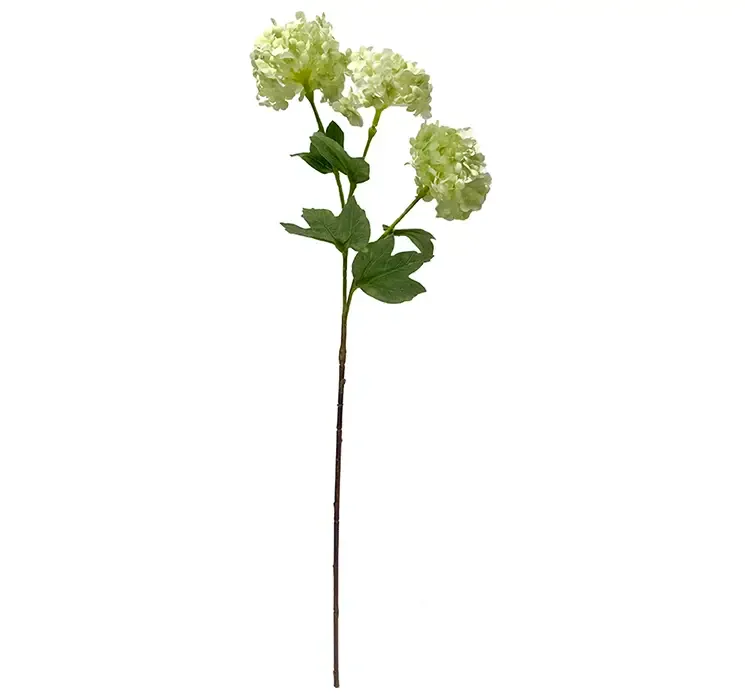 Kunstig kalkved også kaldet viburnum blomst i grøn af plast