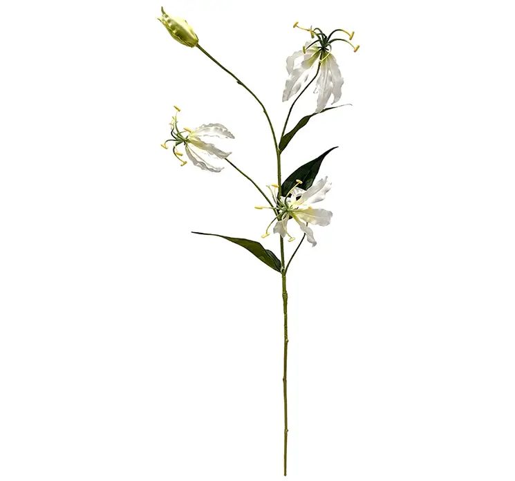 Klatre lilje også kaldet gloriosa af plast i hvid