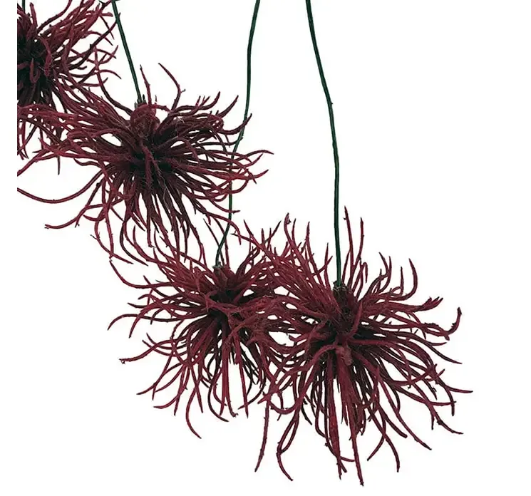 Kunstig krysantemum hænger af plast i rød closeup