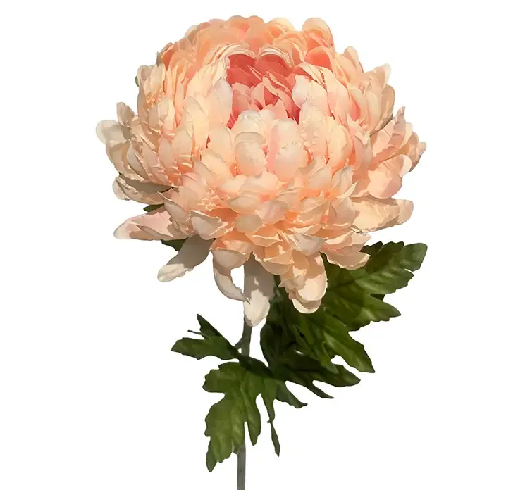 Kunstig krysantemum blomst i fersken farvet af plast closeup