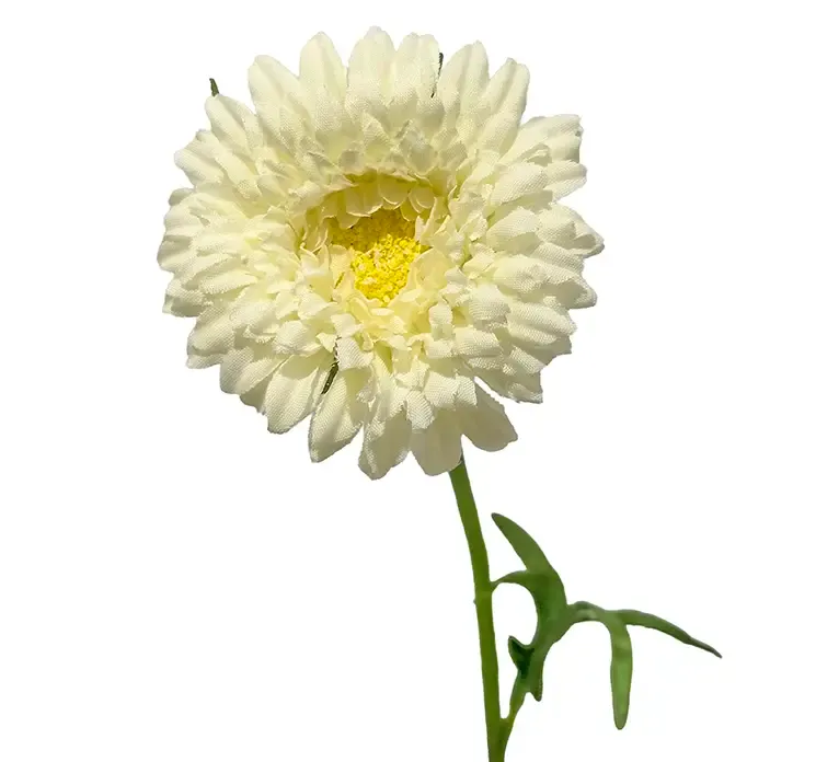 kunstig krysantemum blomst i hvid af plast closeup