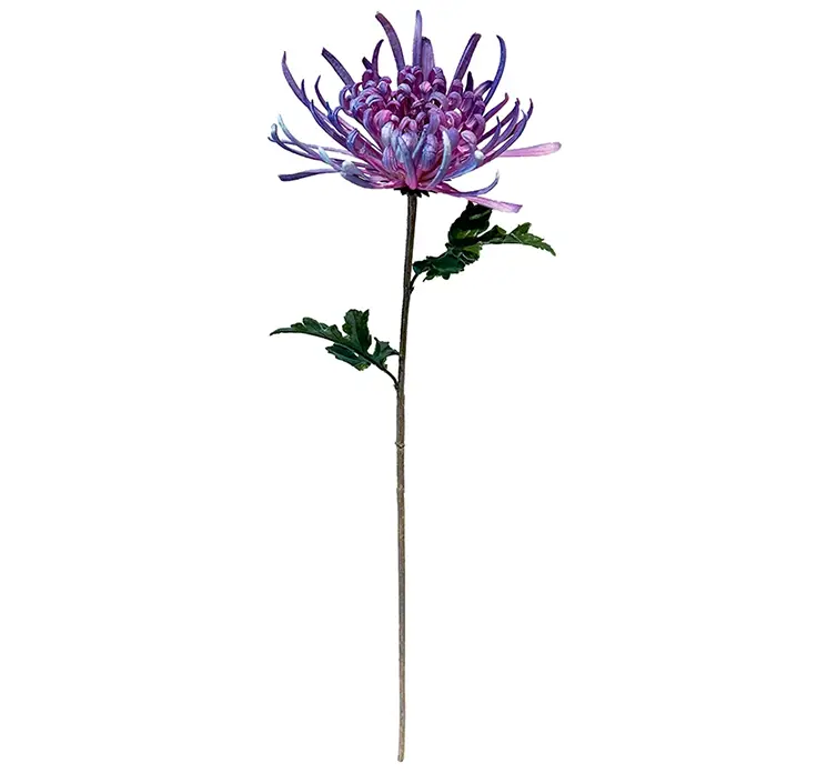 Krysantemum kunstig blomst af plast i lilla