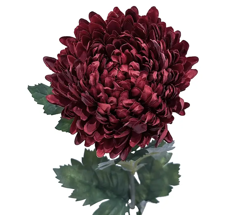 Krysantemum kunstig blomst af plast i mørkerød closeup
