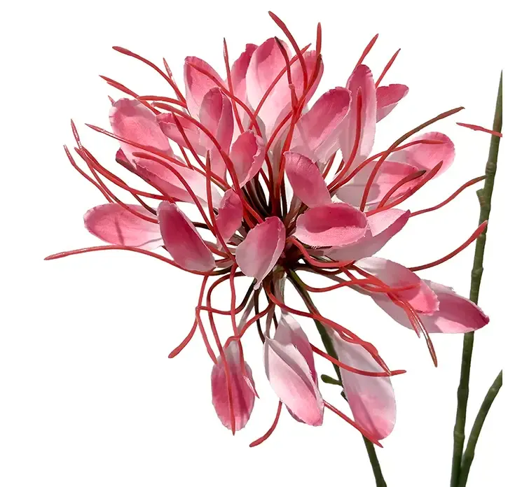 Kunstig krysantemum i pink af plast closeup