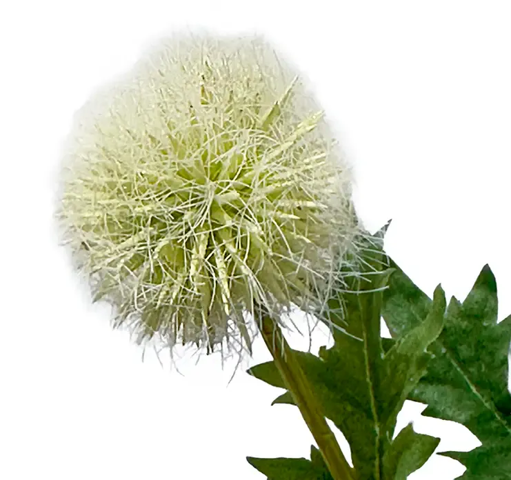 Kunstig mælkebøtte i hvid af plast closeup