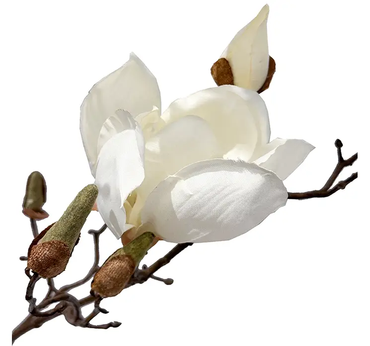 Magnolia kunstig blomster gren af plast med hvide blomster closeup