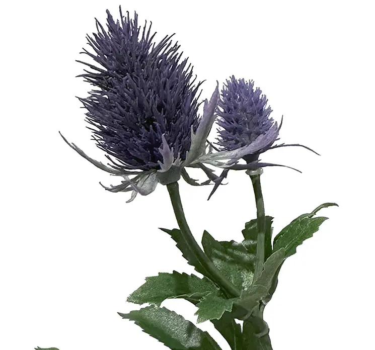 Mandstro kunstig blomst tidsel af plast i blå closeup
