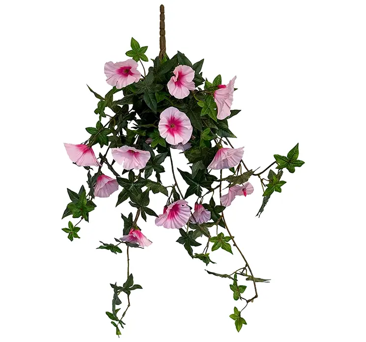 Petunia også kaldet morning glory af plast med lyserøde blomster