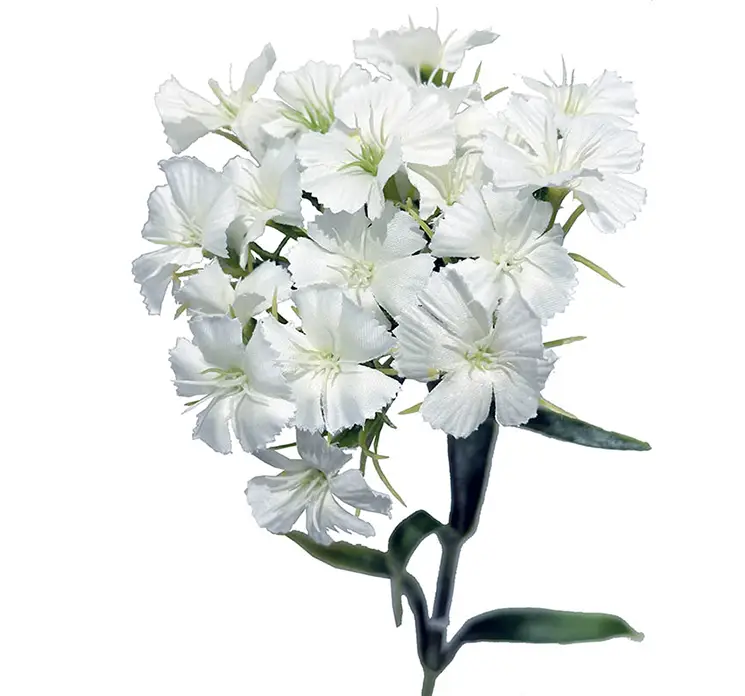 Nellike kunstig blomst af plast i hvid closeup