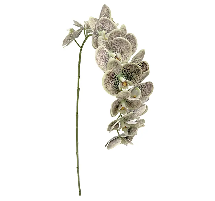 Orkide kunstig blomst på stilk af plast i grøn 111cm