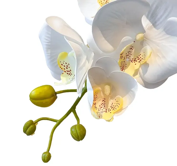 Kunstig hvid orkide i hvid potte af plast closeup