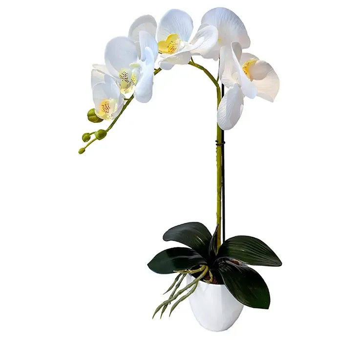 Kunstig hvid orkide i hvid potte af plast