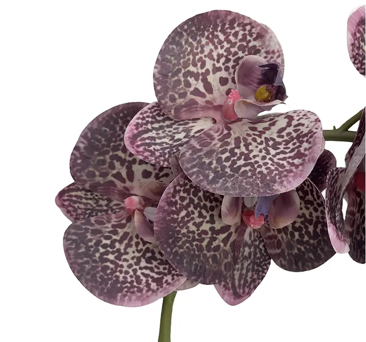 Orkide kunstig blomst i lilla på stilk closeup