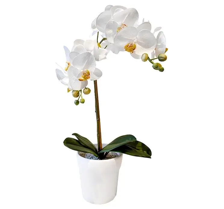 Kunstig orkide i hvid med hvid potte