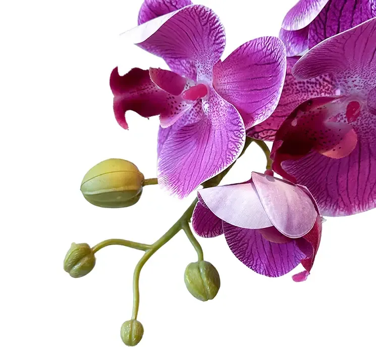 Kunstig orkide i hvid potte af plast, pink farvet closeup