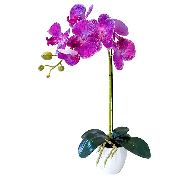 Kunstig orkide i hvid potte af plast, pink farvet