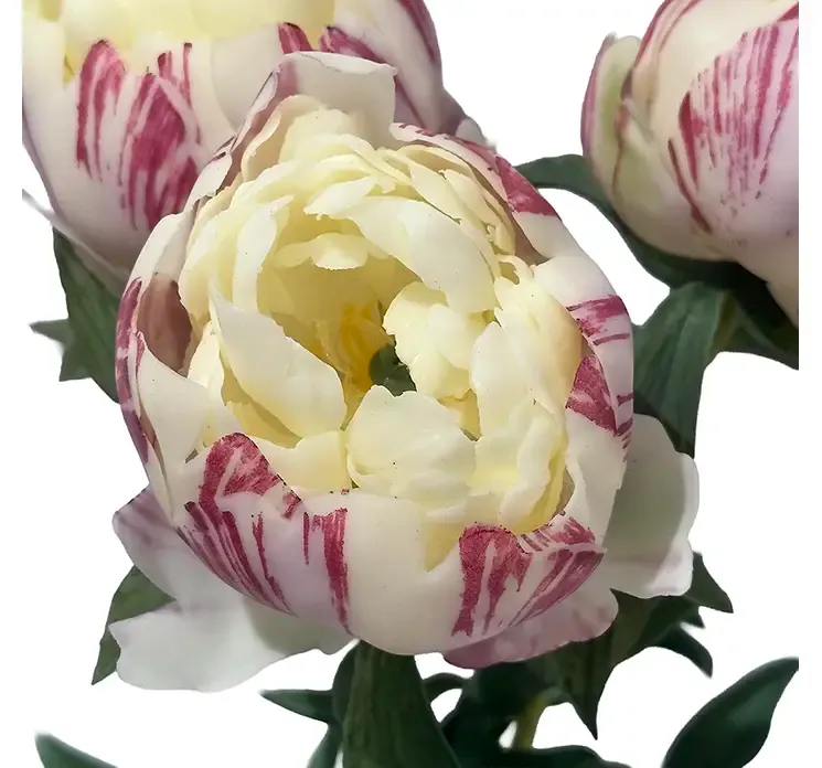 Kunstig pæon bundt med tre blomster af plast i creme og lilla closeup