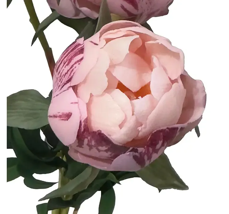 Kunstig pæon bundt med tre stilke af plast i lyserøg og lilla closeup