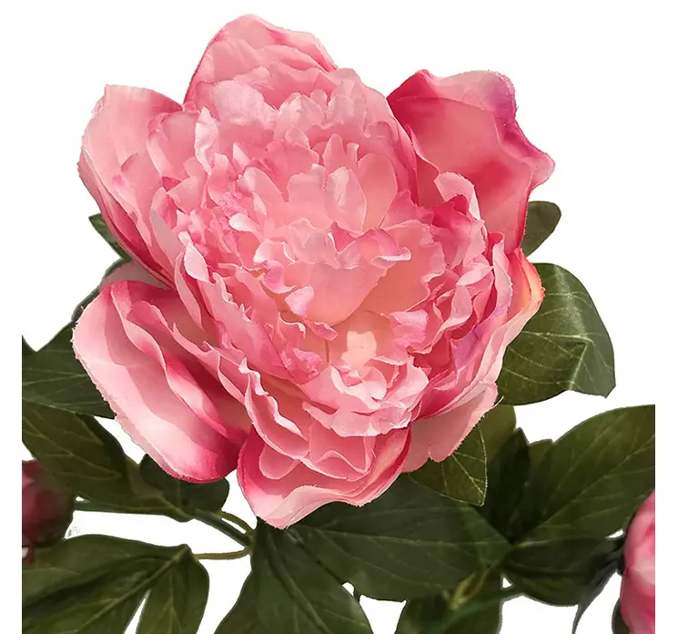 Pæon kunstig blomst i pink af plast closeup