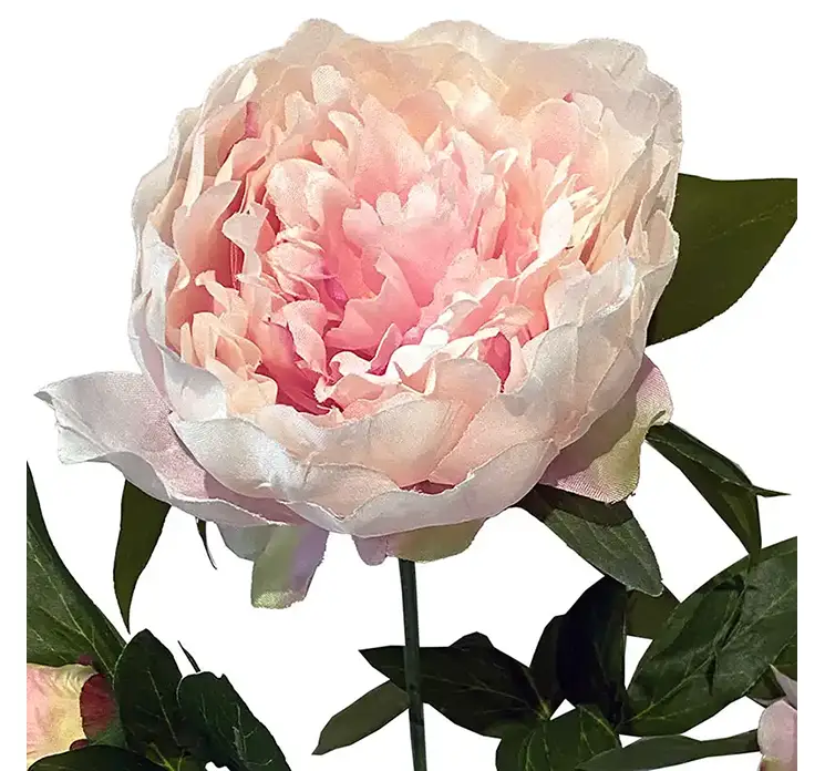 Pæon kunstig blomst i lyserød af plast closeup