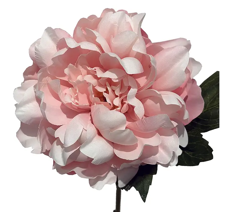 Pæon kunstig blomst af plast i lyserød closeup