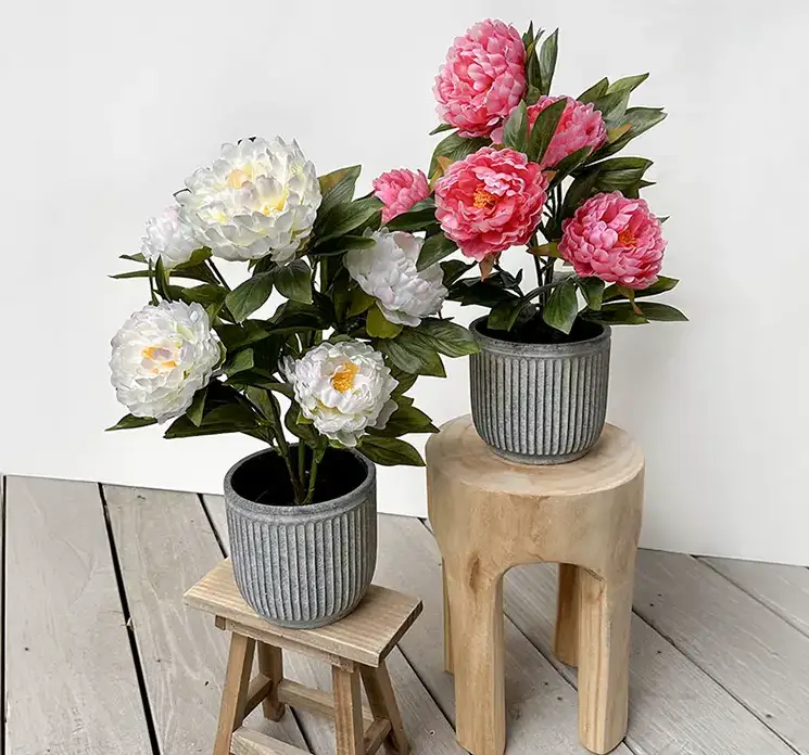 Pæoner kunstige blomster i sort potte med blomster i hvid og pink vist i krukker i terrasse miljø