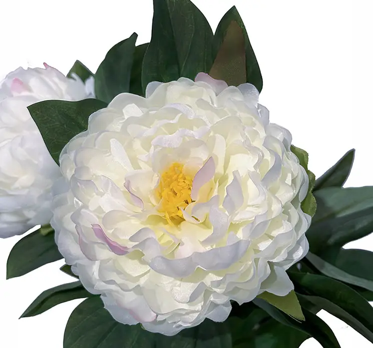 Pæon i hvid kunstig blomst sat i sort potte af plast 57cm closeup af blomst
