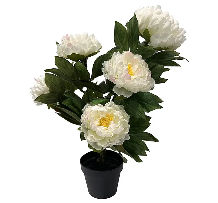 Pæon i hvid kunstig blomst sat i sort potte af plast 57cm