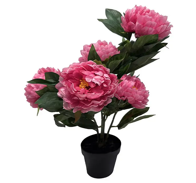 Pæon kunstig blomst i sort potte med blomster i pink 57cm